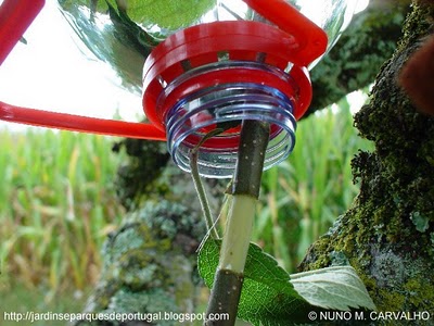 [2_mergulhia_aerea.JPG]