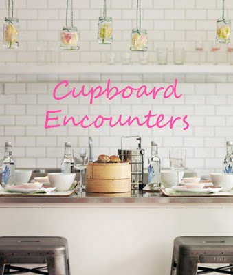 Cupboard Encounters