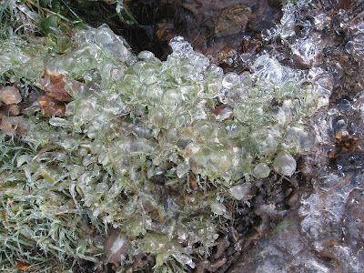 A frozen stream