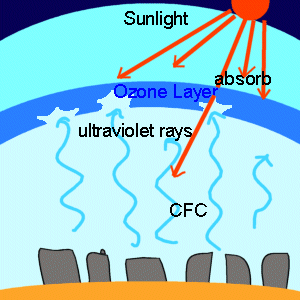 Ozone Layer Facts