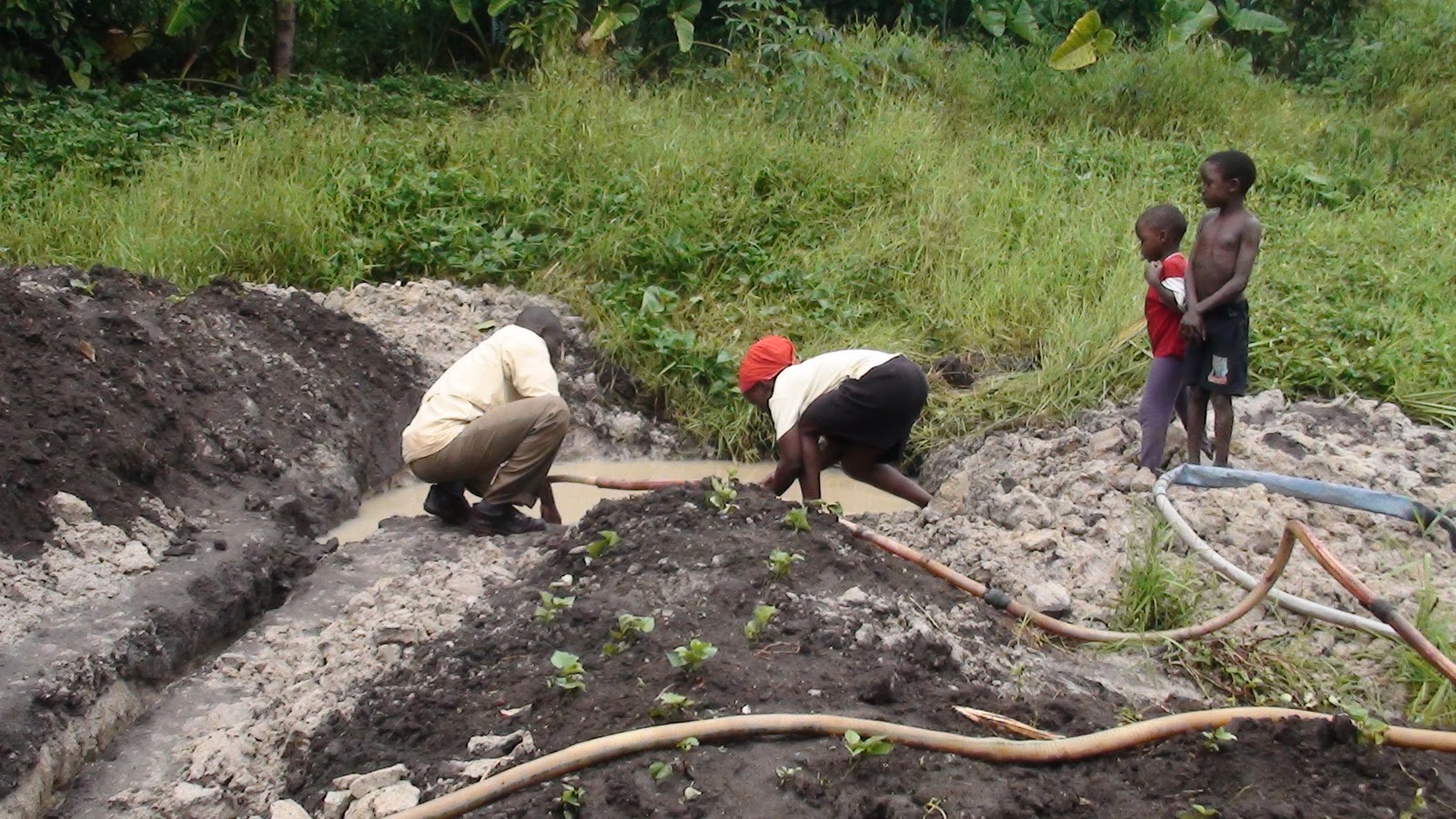 COMMUNITY VEGETABLE GARDENING IN UGANDA Local Innovations for Irrigation