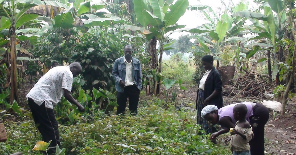 COMMUNITY VEGETABLE GARDENING IN UGANDA Community Services