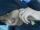 Foto saya
