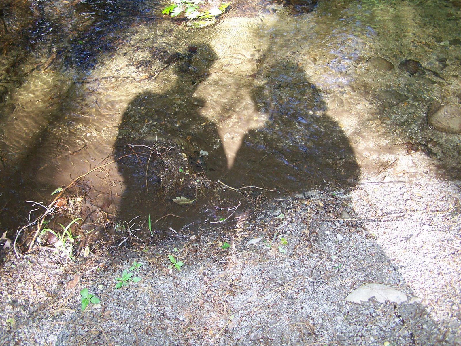 [shadow+couple.jpg]