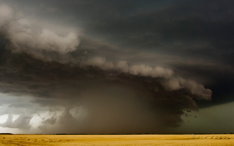 [JimReed1208298001.jpg]