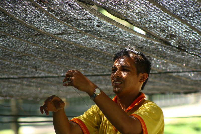 [IMG_4553.JPG]