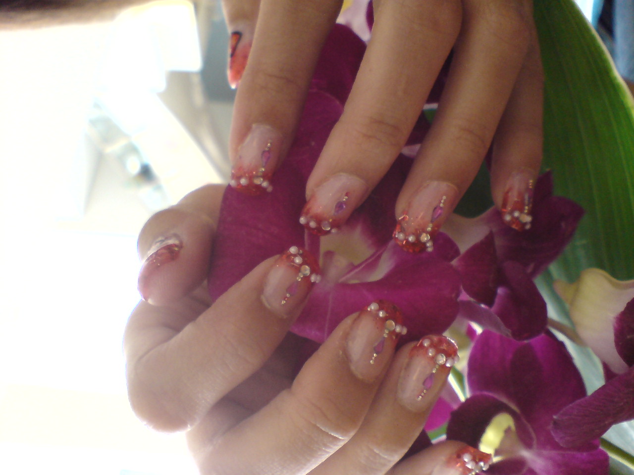 [DSC03260.JPG]