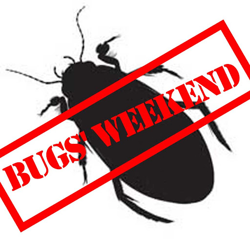 Bugs' weekend
