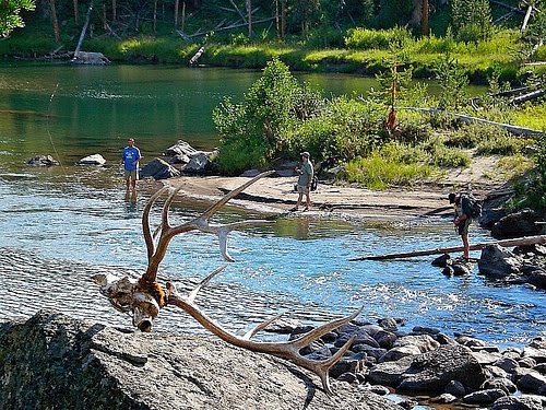 Slough Creek Campground