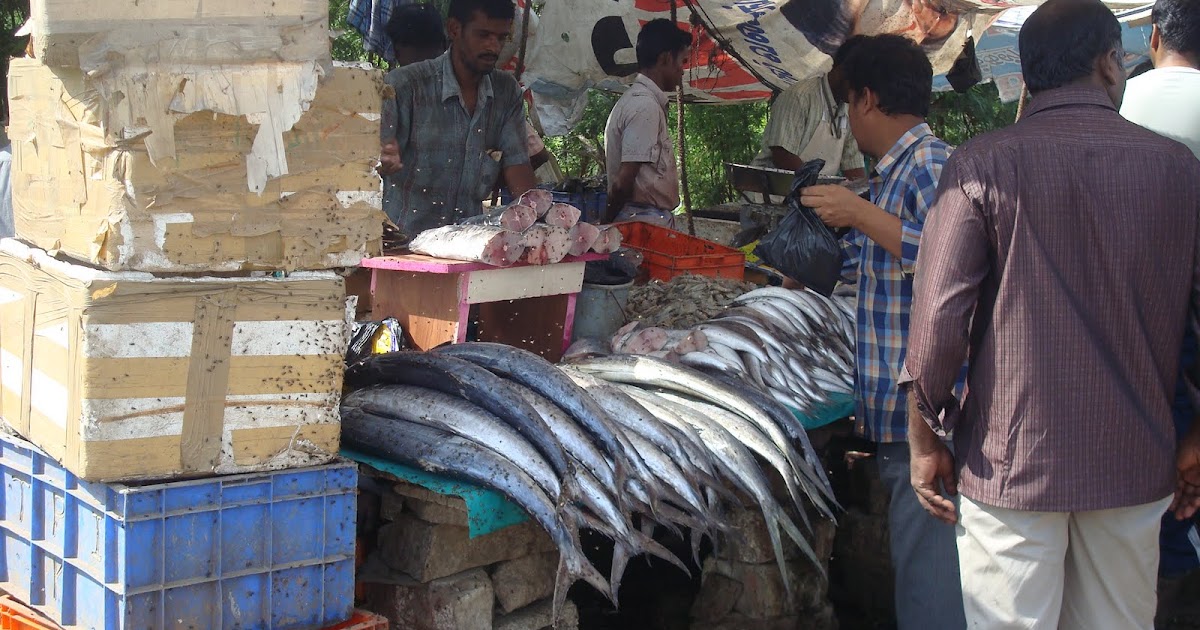 Chennai Daily Photo Fish market