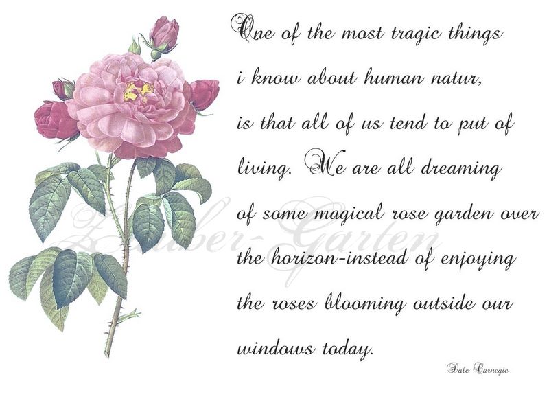 Glynnda S Blog Sent Wedding Invitations Card To Sgi Teachers Jogged Around Lake Gardens