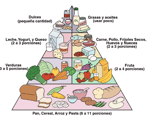 Pirámide de los alimentos