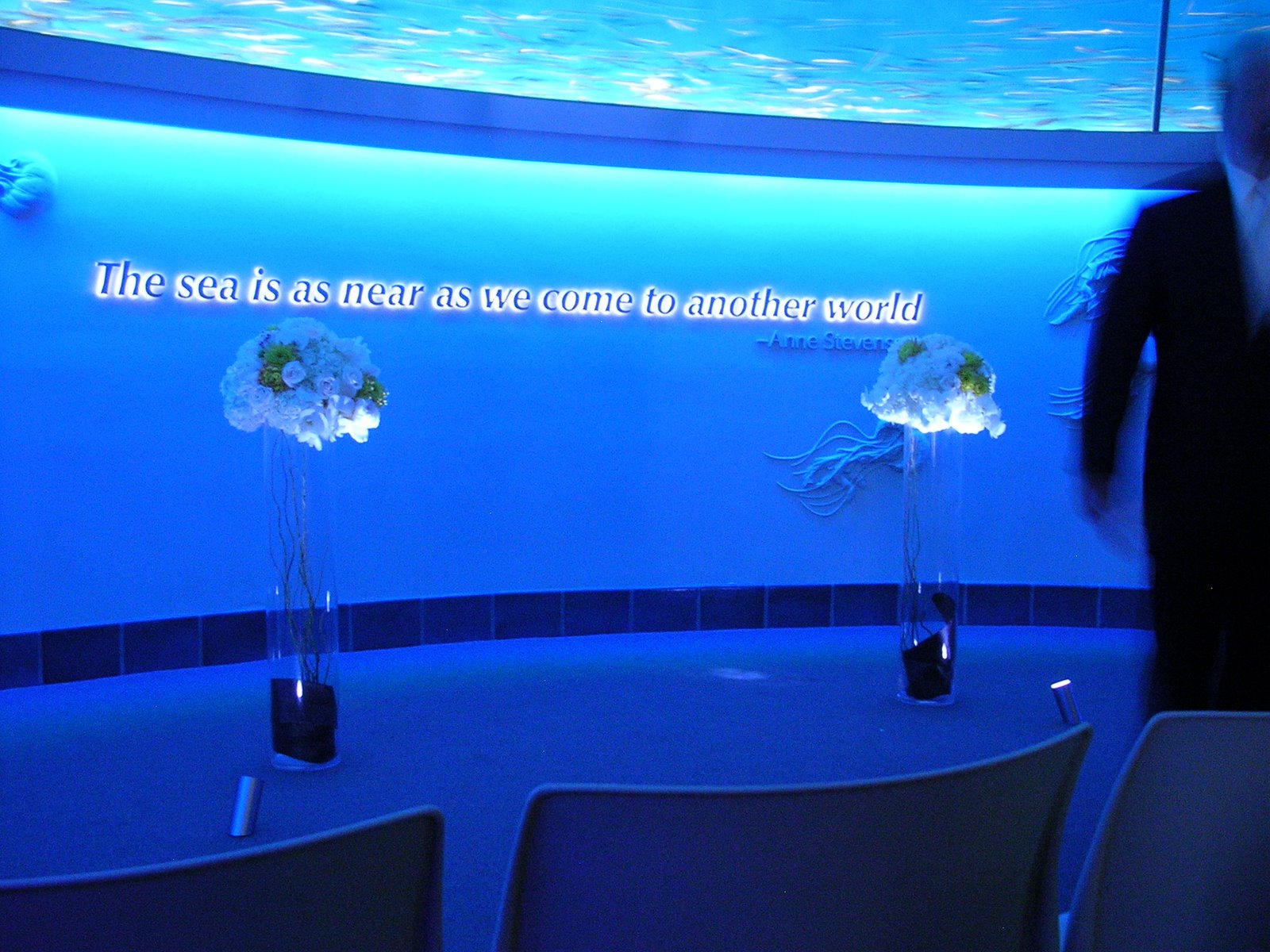 [DSCN3815.JPG]