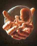 शायद ...इसीलिए परियां अब इस ज़मीन पर नहीं आती