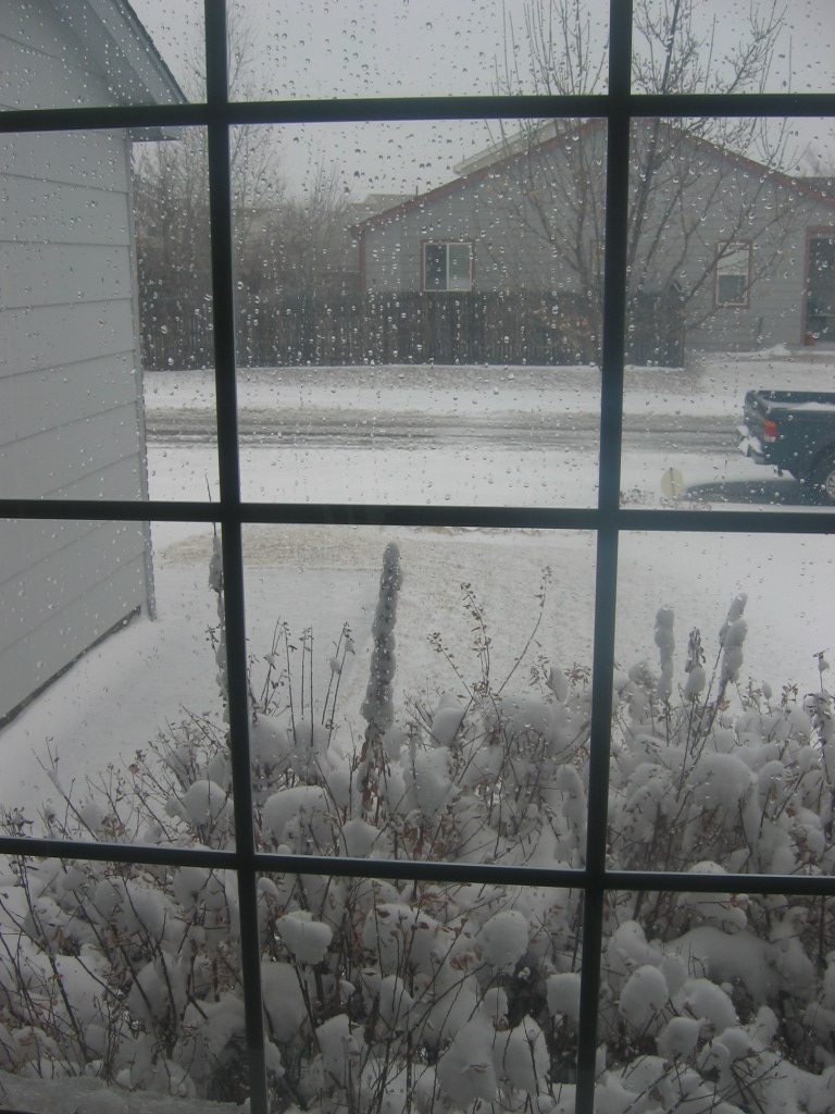 [IMG_7273.JPG]