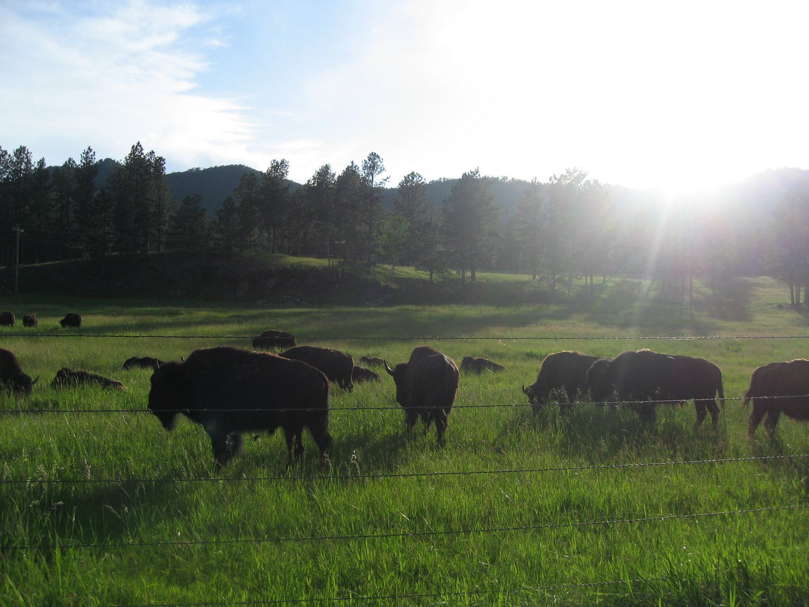 [2009_07_04_060.JPG]