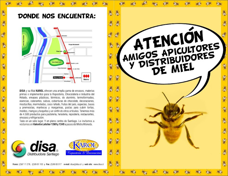 Diseño Tiro Díptico MIEL