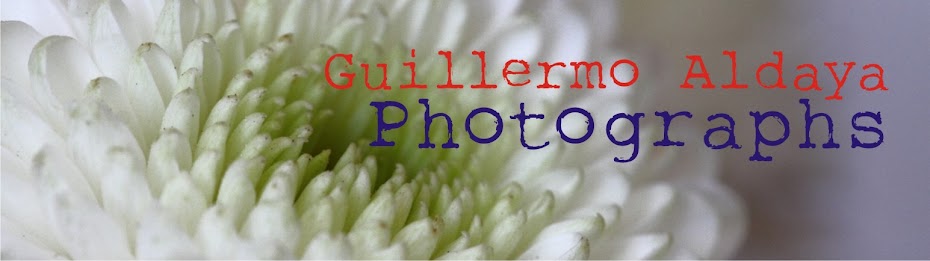Guillermo Aldaya - Photographs