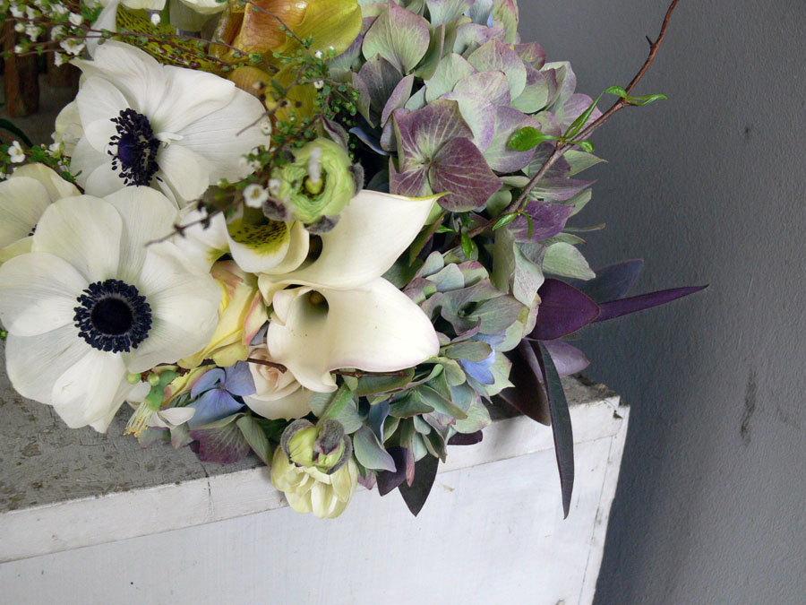 [anemones_orchids2.jpg]