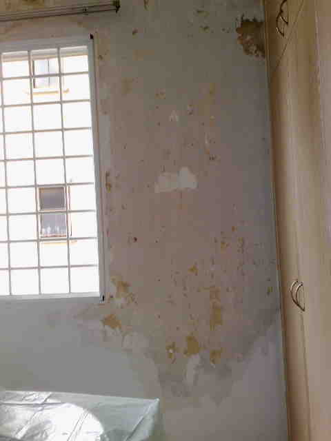 [05102009566.jpg]