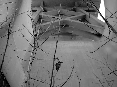 Photo by Mitch Kline - mitchkline.com - Copyright 2009 Mitch Kline