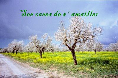 Ses cases de s´ametller