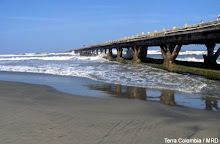 EL VIEJO MUELLE DE PUERTO COLOMBIA..