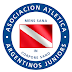 Fútbol argentino: Argentinos Juniors de Buenos Aires