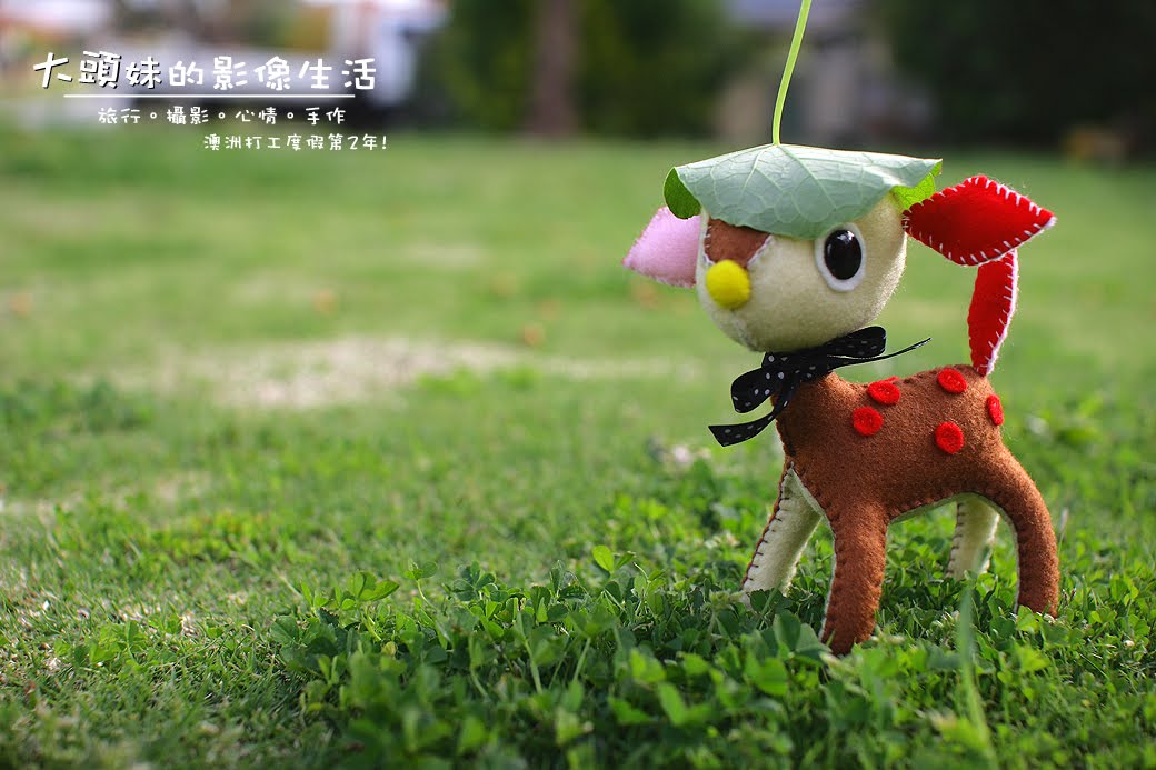 大頭妹的影像生活