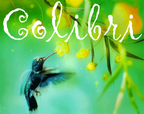[Colibri-Anuncio.gif]