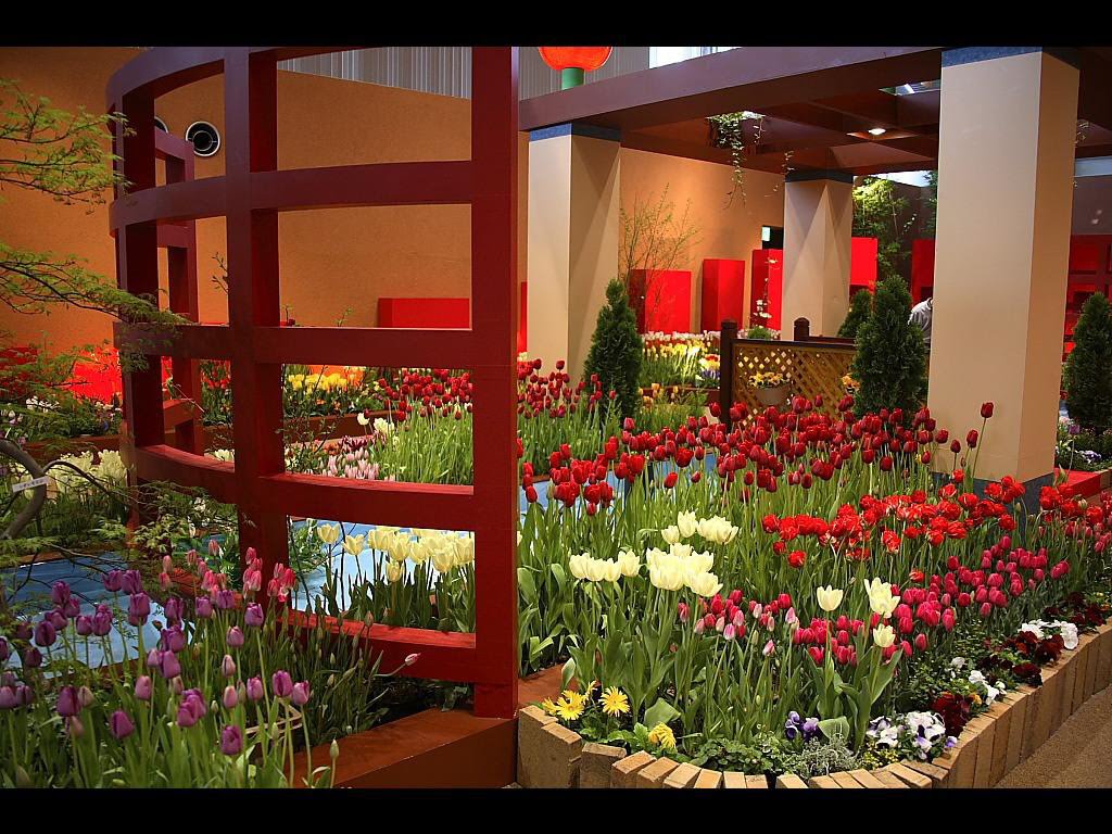 [Flowers+in+GreenHouse+HD+Wallpapers+(2)-732602.jpg]
