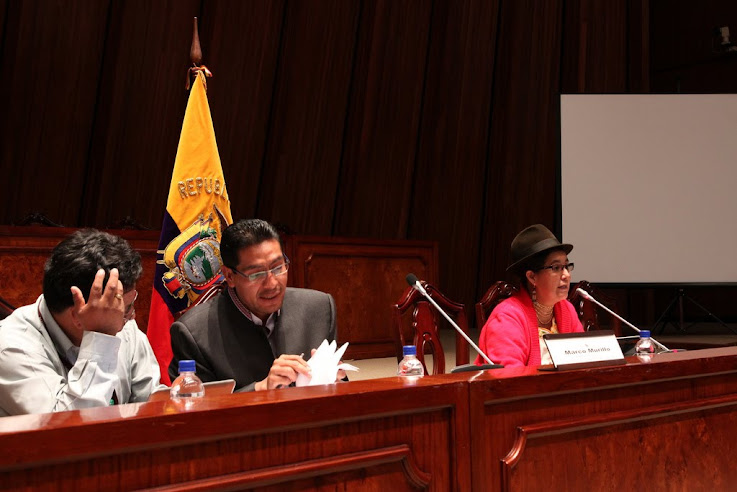 Organizaciones indígenas respaldan Ley que incorpore sus derechos  de la Declaración de la ONU