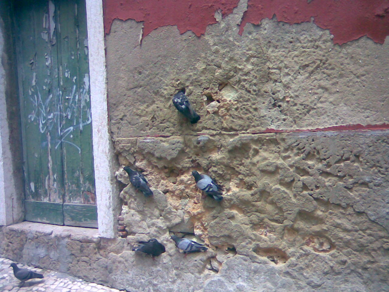 [Img013.jpg]