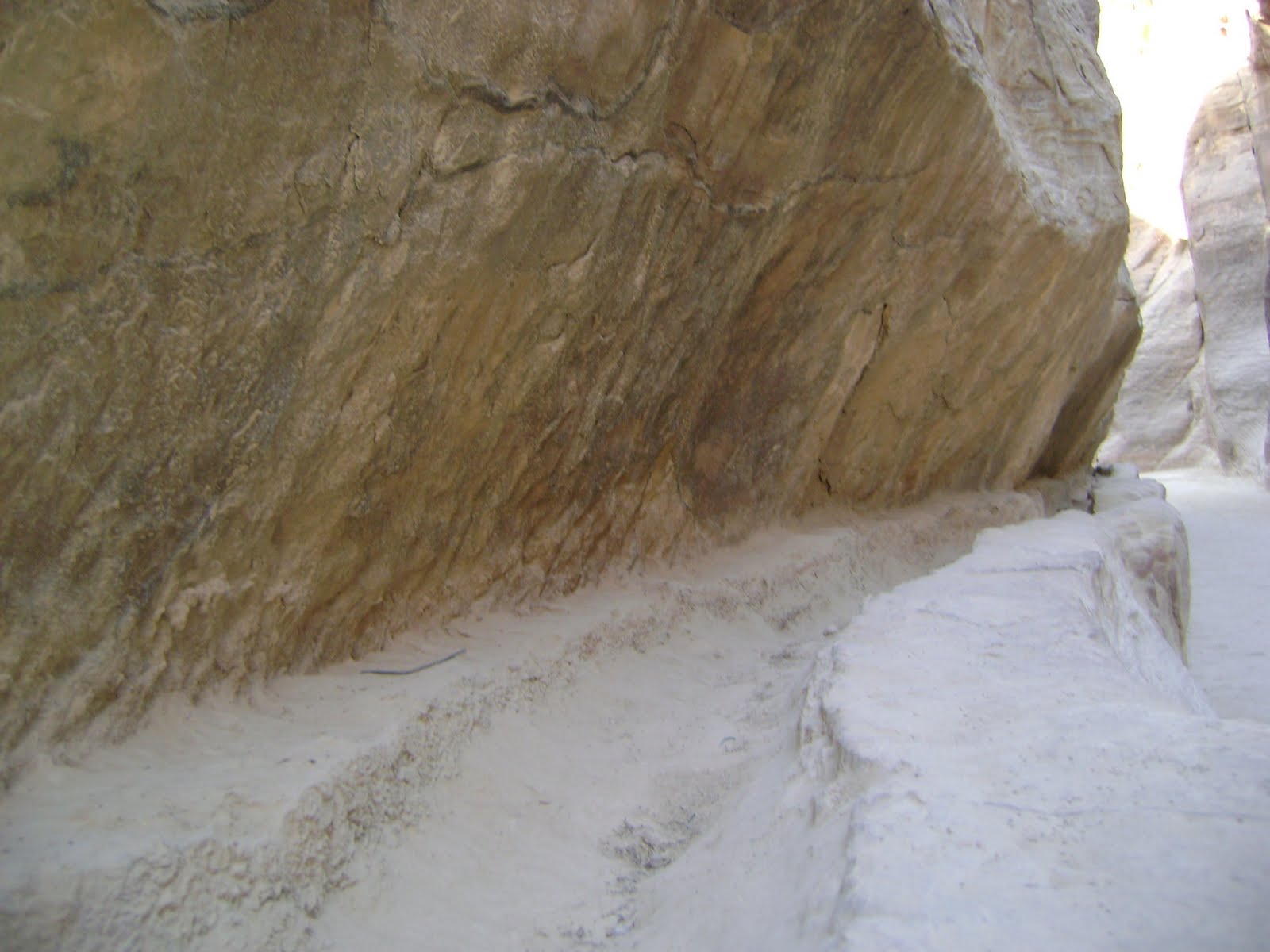 [DSC03431.JPG]