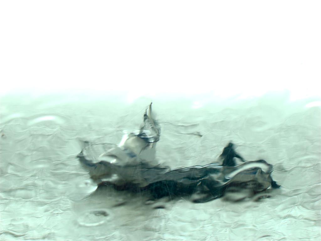 [2010-03-07+047+(Large).jpg]