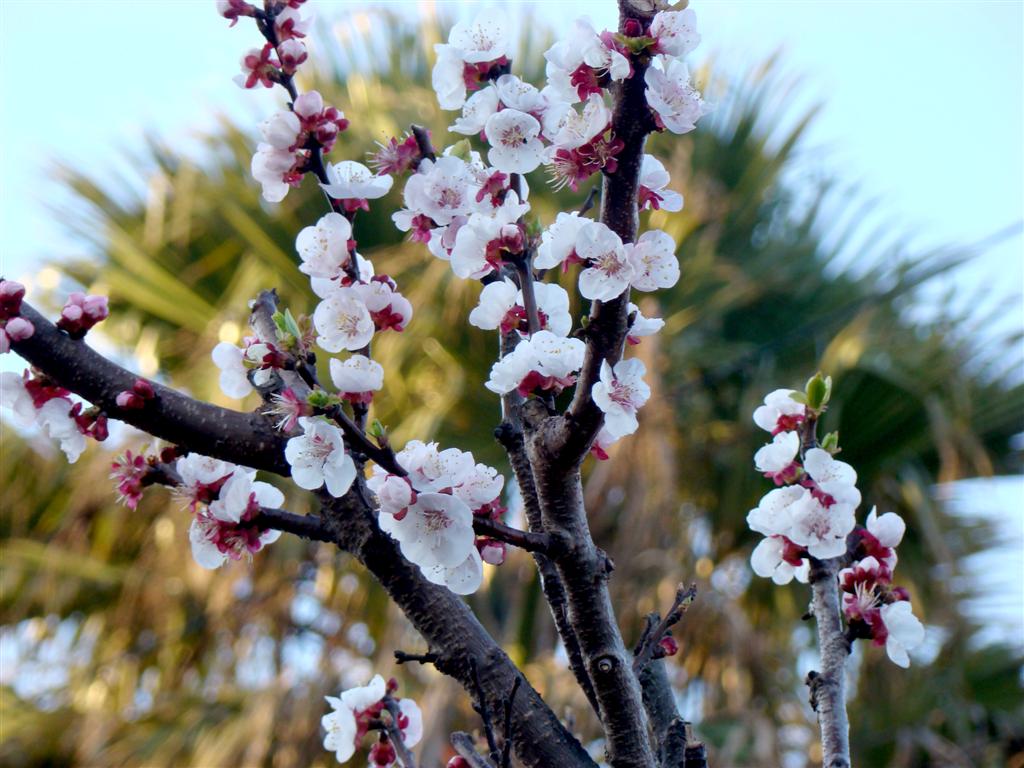 [2009-01-22+007+(Large).jpg]