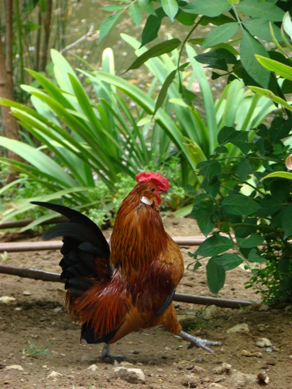 [2009-05-10+119+(Large).jpg]