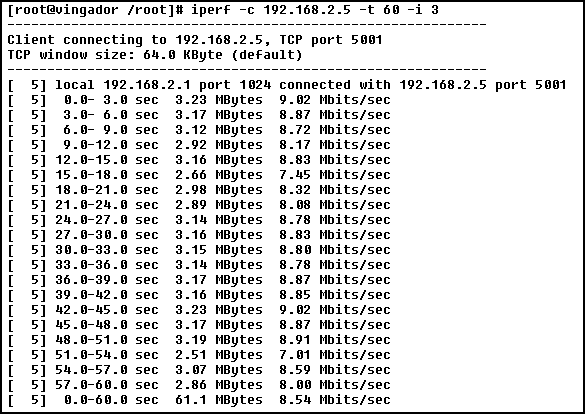 [iperf_c_linux.gif]