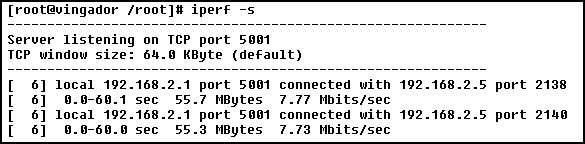 [iperf_s_linux.gif]
