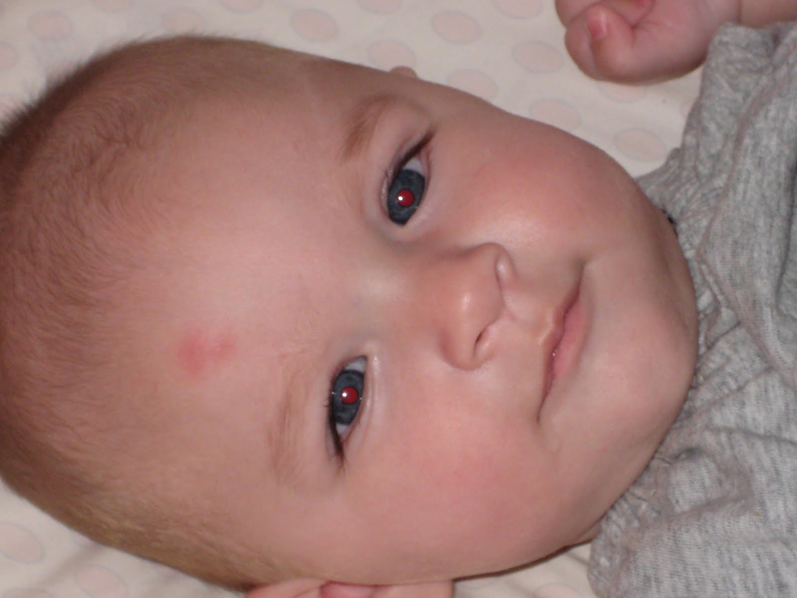 The Guadagno Girls**** Marnie, Simone &amp; Brynn Damn Mosquito