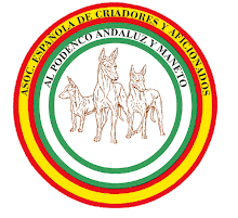 EL Podenco Andaluz.