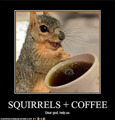 [Image: funny-pictures-squirrels-have-discovered-coffee.jpg]