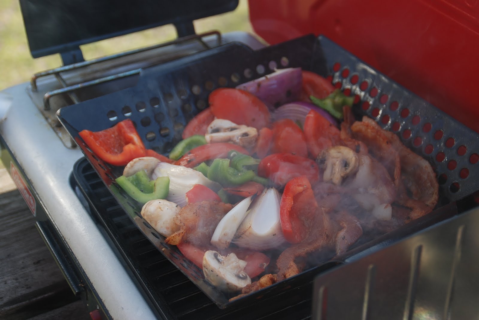 The Life of Q Camping Skewerless Shish Kabobs