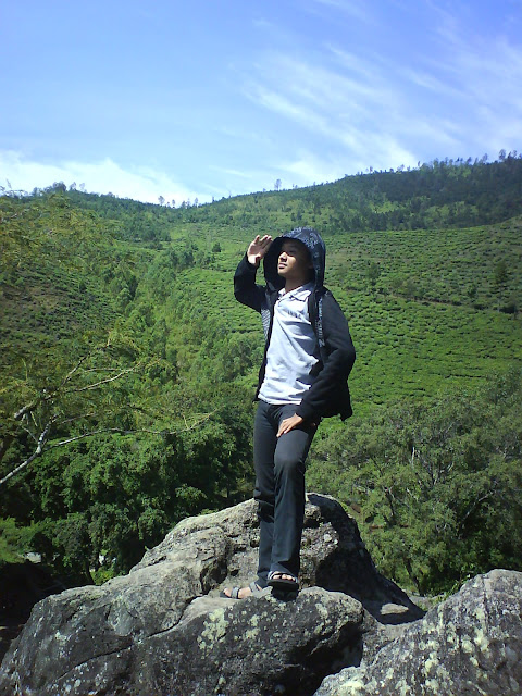 Blog Archives Goodsitesg