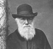[Charles-Darwin_03.gif]