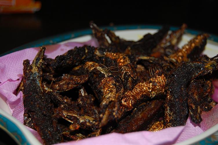 Sardine Fry