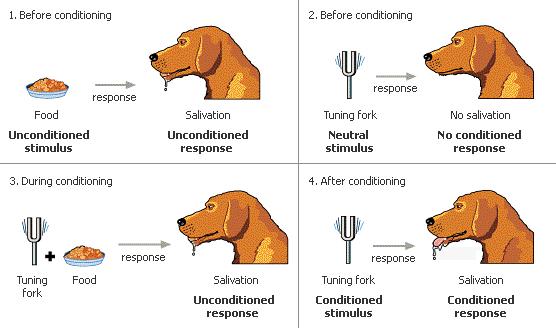 ivan pavlov theory ivan pavlov theory