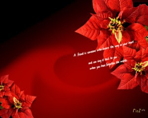 Christmas Poinsettia Desktop Wallpapers