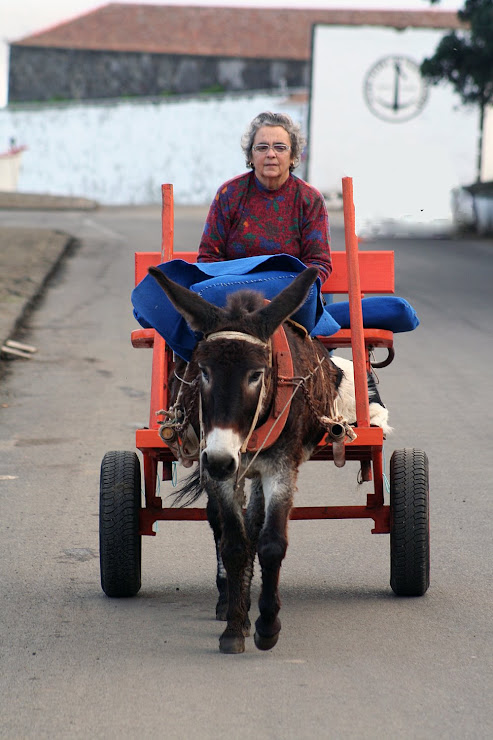 Meio de transporte