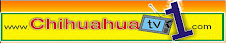 Chihuahuatv1